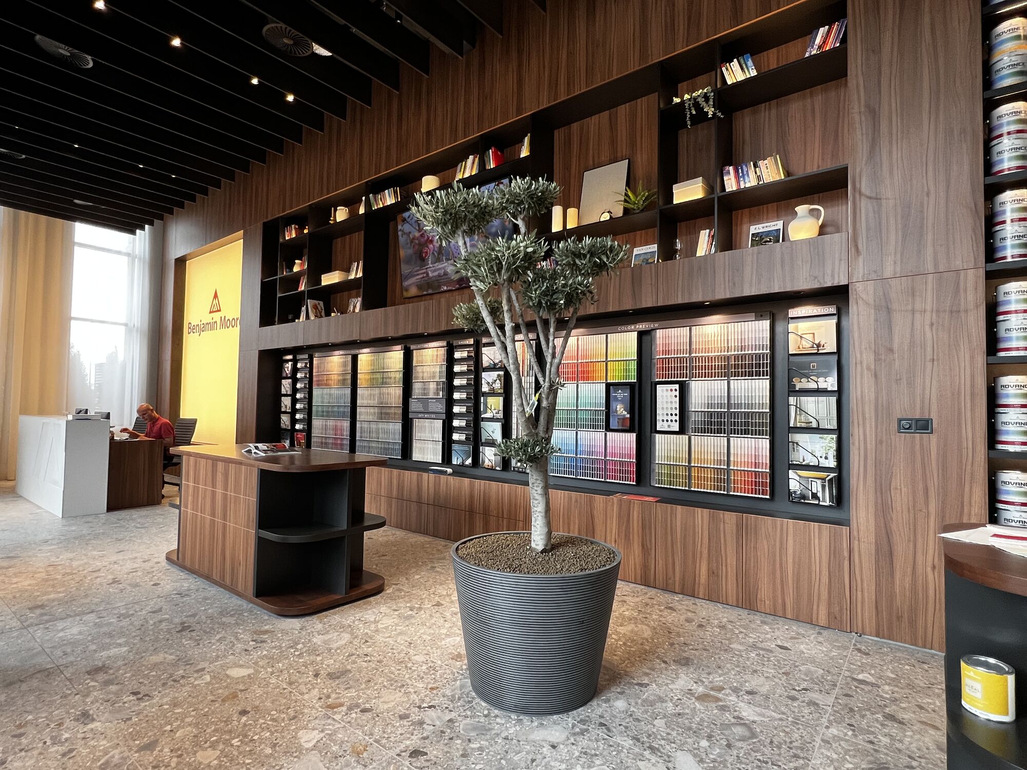 Benjamin Moore Bulgaria showroom — color display wall with olive tree